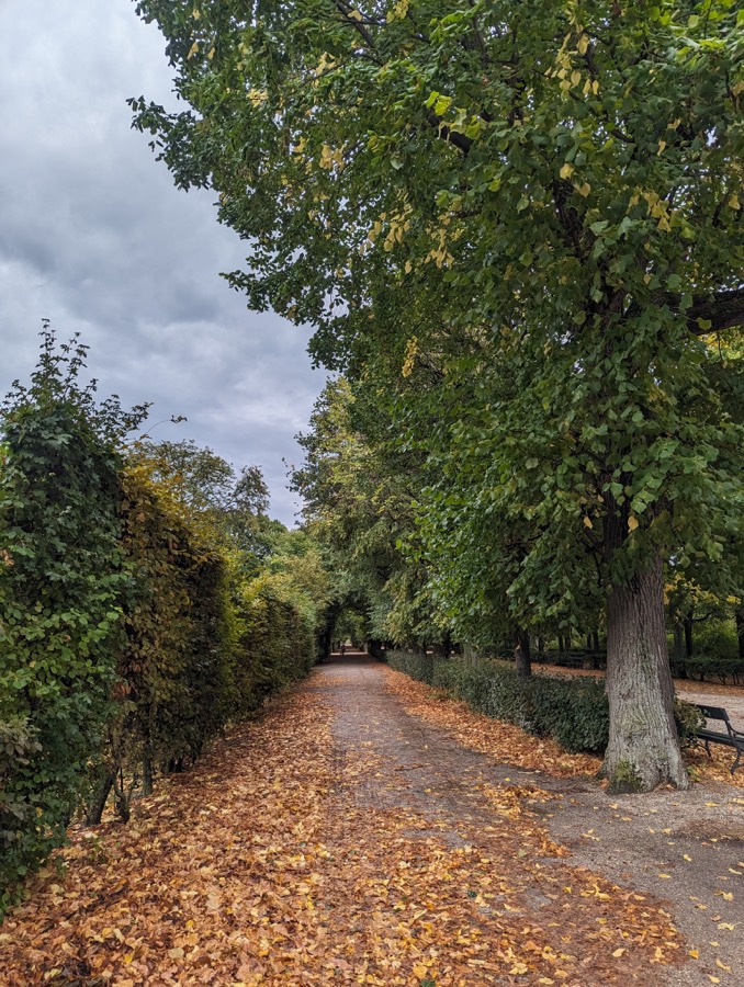 The gardens of Schönbrunn Palace